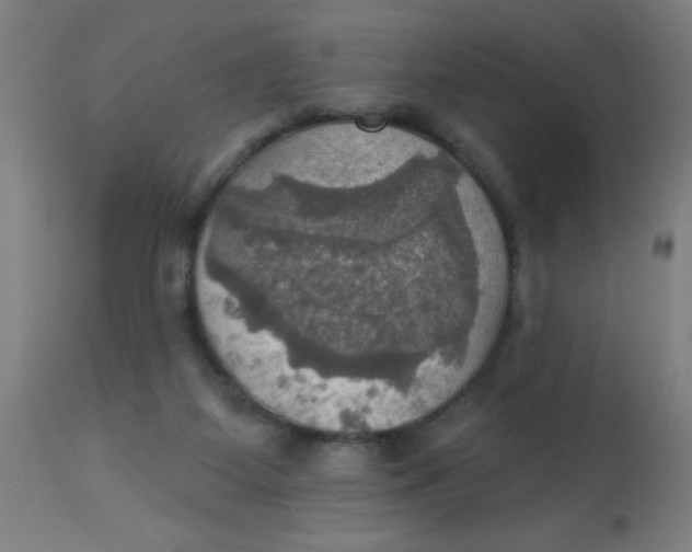 X0000113230115200910081415