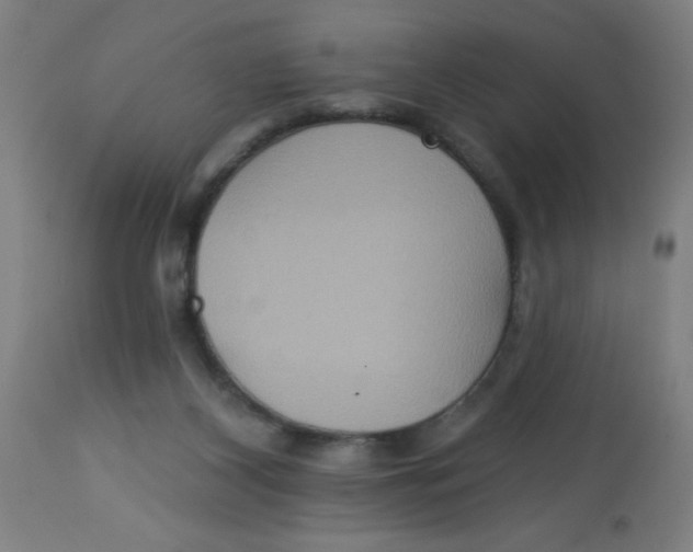 X0000113230116200910081415