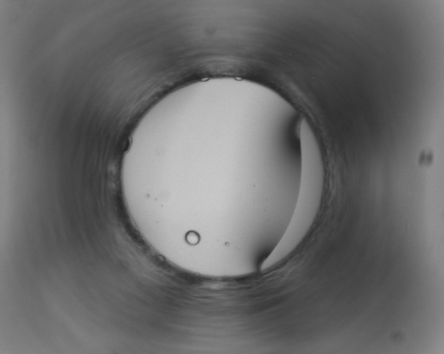 X0000113230117200910081415