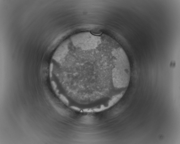 X0000113230119200910081415