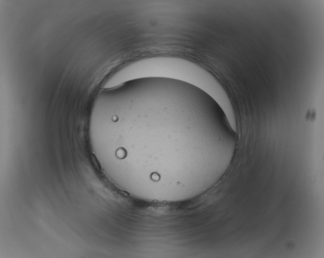 X0000113230120200910081415