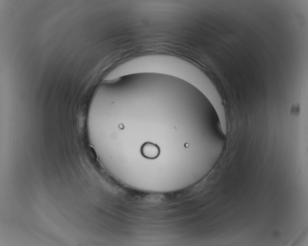 X0000113230124200910081415