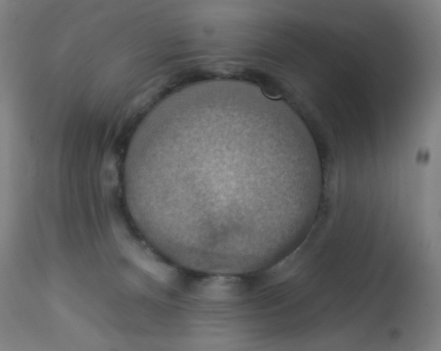 X0000113230128200910081415