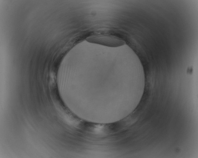 X0000113230130200910081415