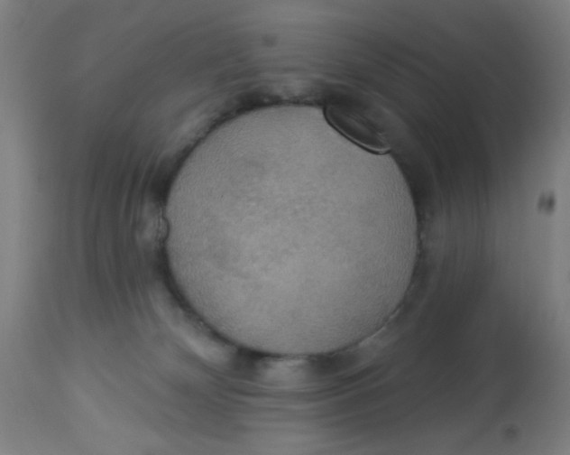 X0000113230132200910081415