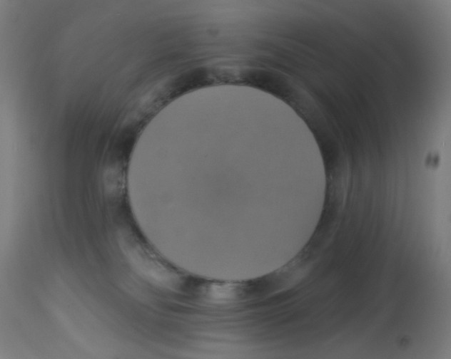 X0000113230134200910081415