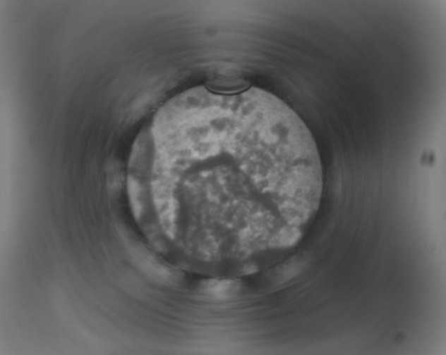 X0000113230135200910081415