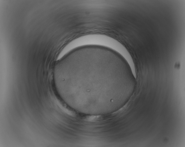 X0000113230136200910081415