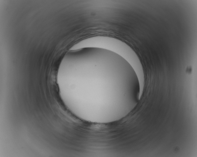 X0000113230137200910081415