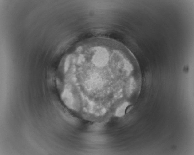 X0000113230138200910081415