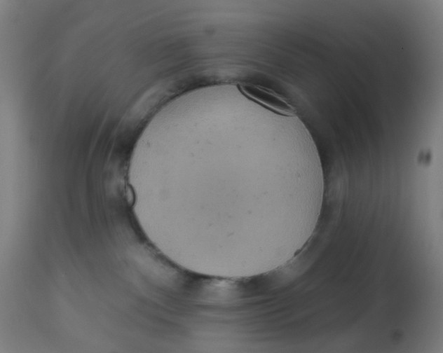 X0000113230140200910081415