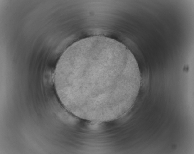 X0000113230142200910081415