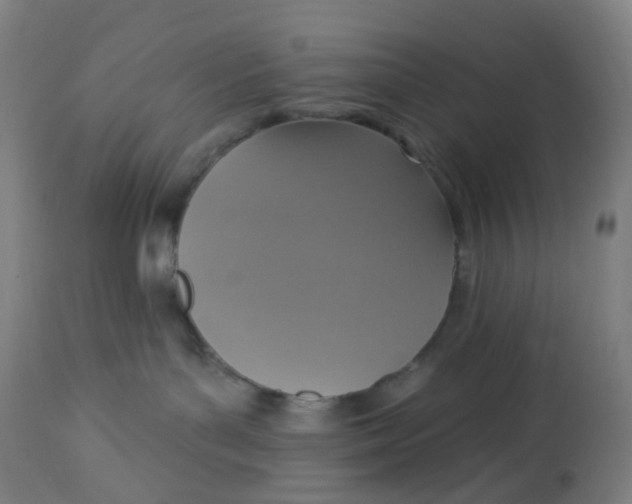 X0000113230143200910081415