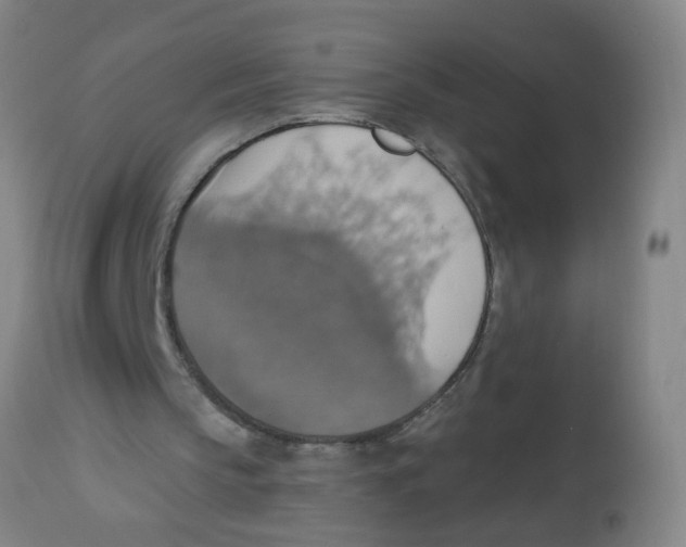 X0000113230145200910081414