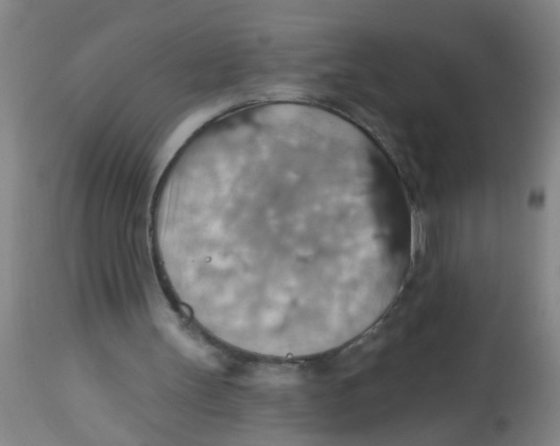 X0000113230147200910081414