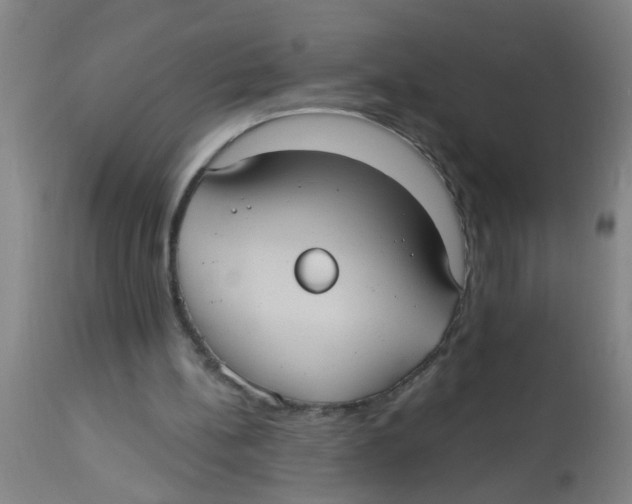 X0000113230148200910081414