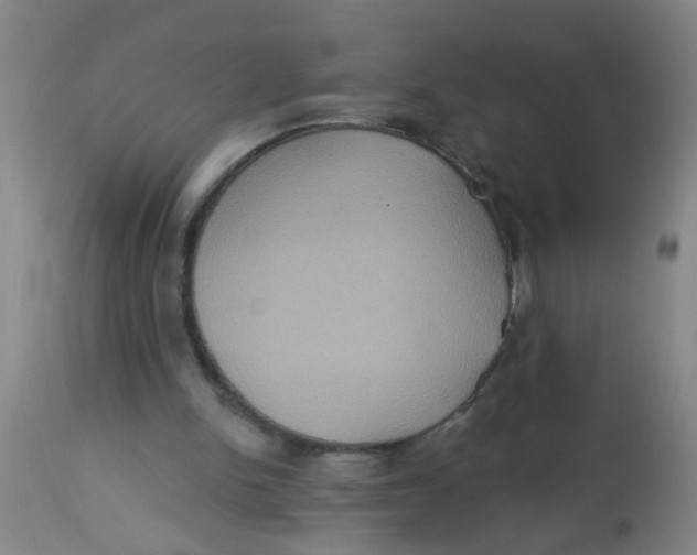 X0000113230150200910081414