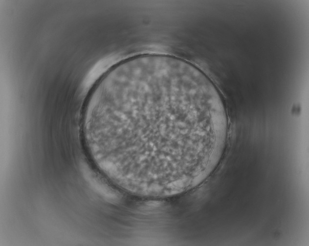 X0000113230151200910081414