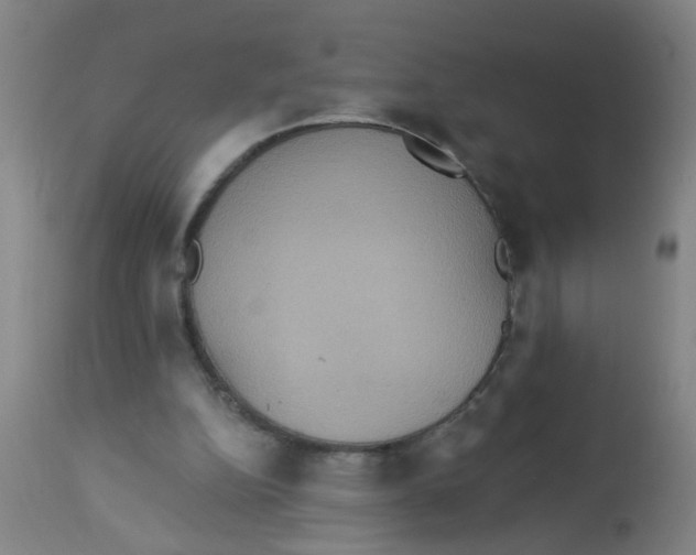 X0000113230152200910081414