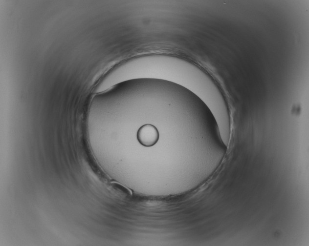 X0000113230154200910081414