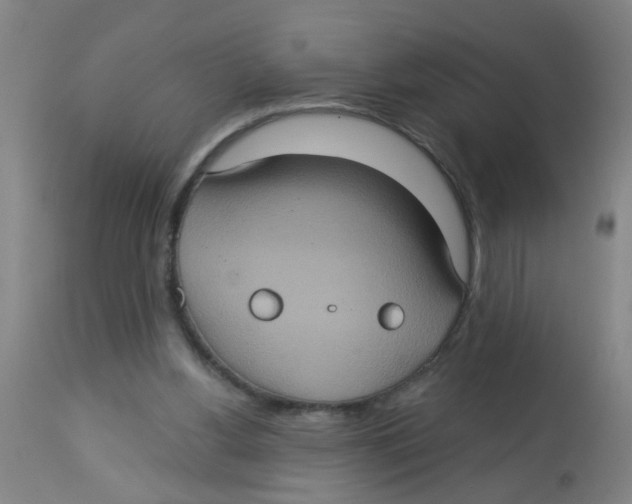 X0000113230156200910081414