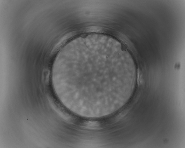 X0000113230157200910081414