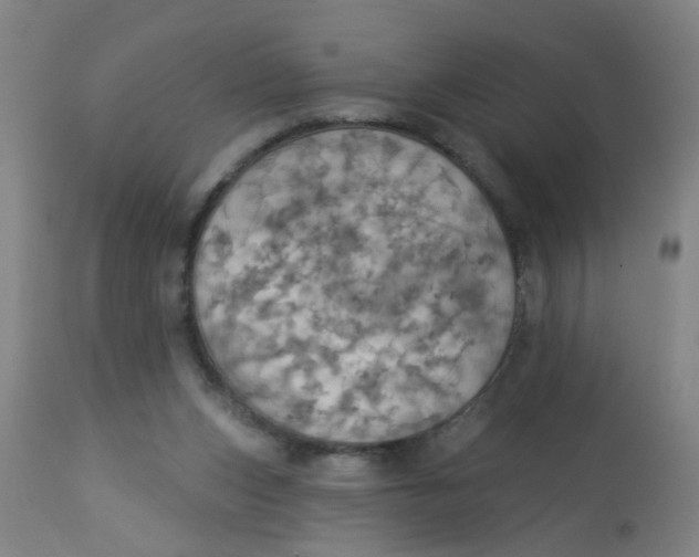 X0000113230159200910081414