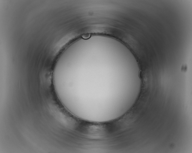 X0000113230160200910081414