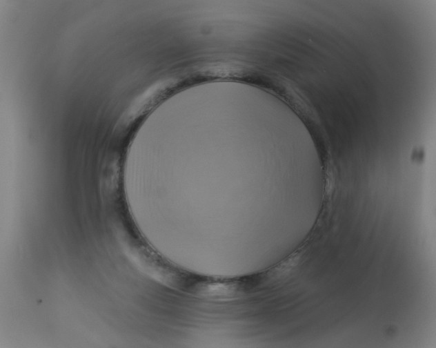 X0000113230163200910081414