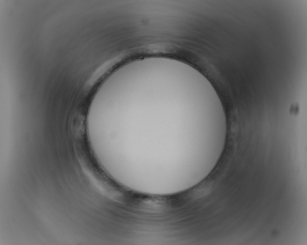 X0000113230164200910081414