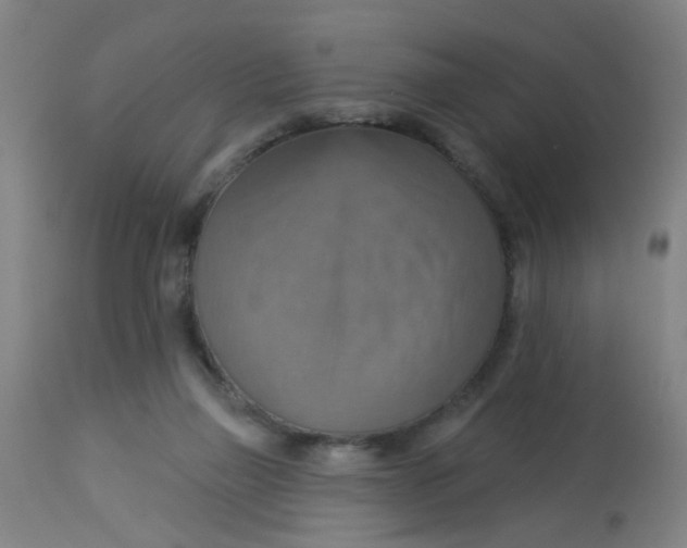 X0000113230165200910081414