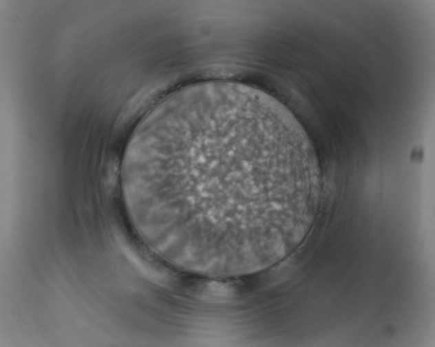 X0000113230166200910081414