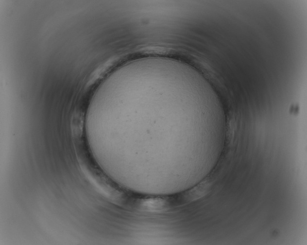 X0000113230168200910081414