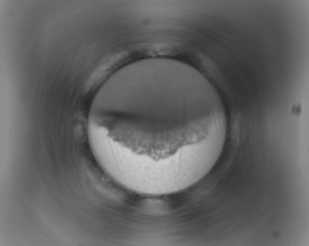 X0000113230169200910081414