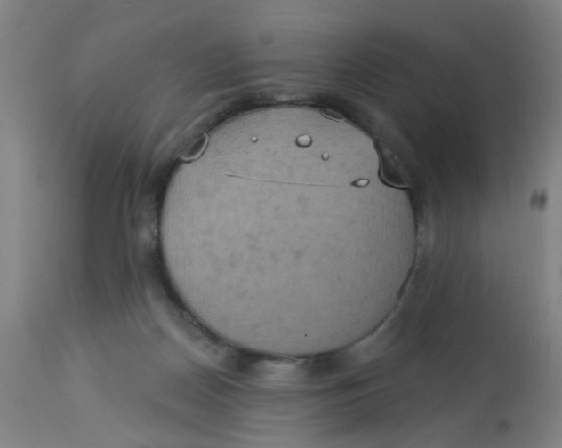 X0000113230170200910081414