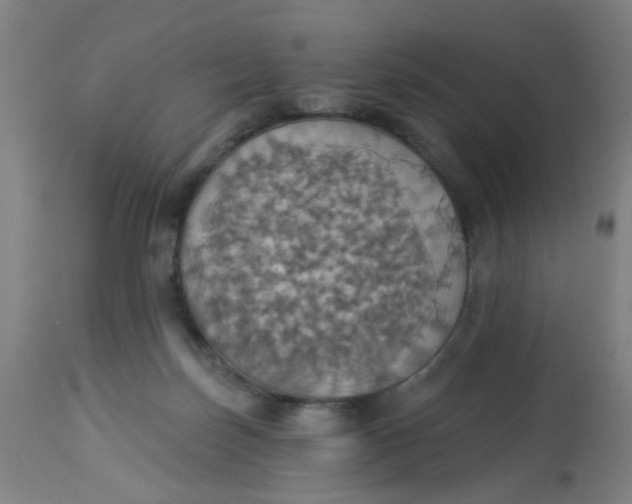 X0000113230171200910081414