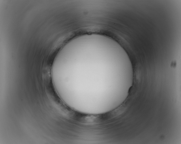 X0000113230172200910081414