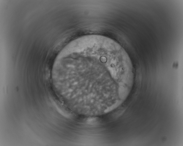 X0000113230173200910081414