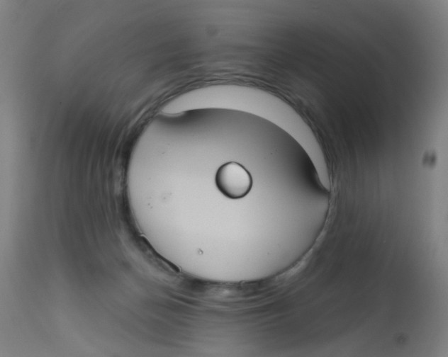 X0000113230174200910081414