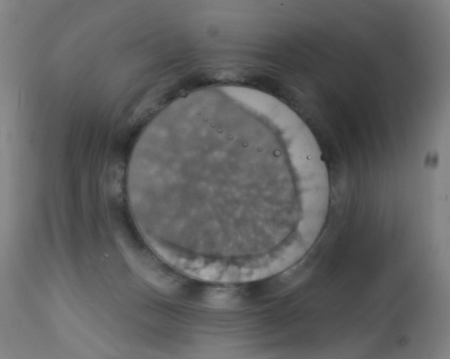 X0000113230175200910081414