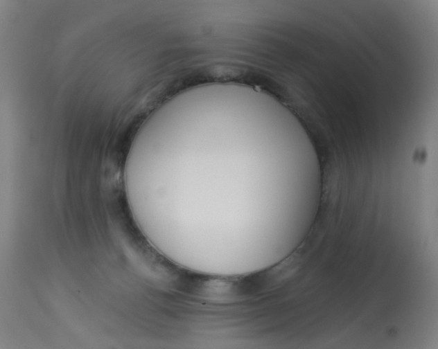 X0000113230176200910081414