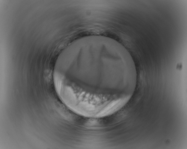 X0000113230177200910081414