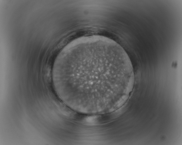 X0000113230178200910081414