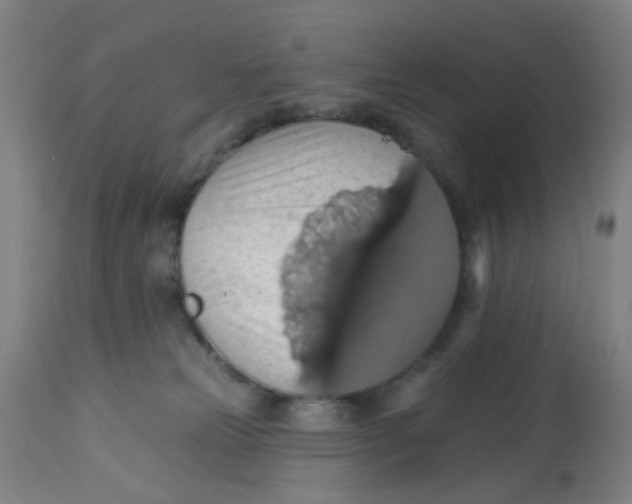 X0000113230181200910081414