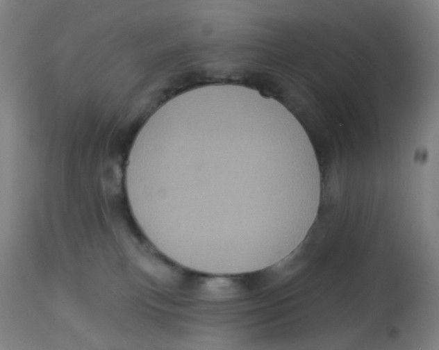 X0000113230183200910081414