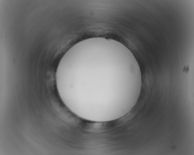 X0000113230184200910081414