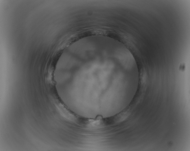 X0000113230185200910081414