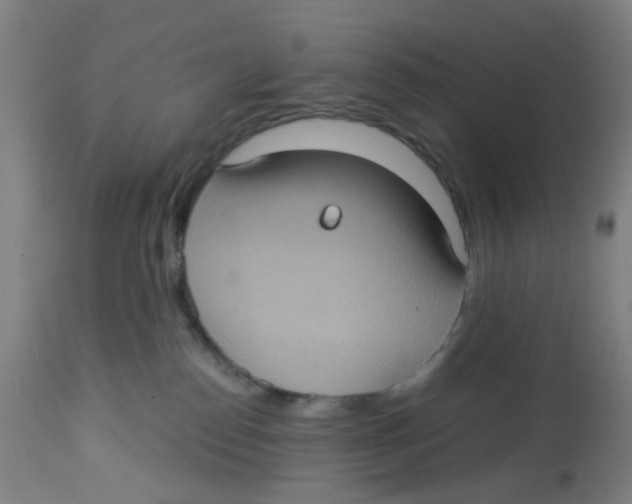 X0000113230186200910081414