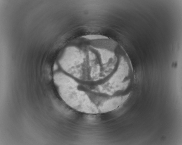 X0000113230187200910081414