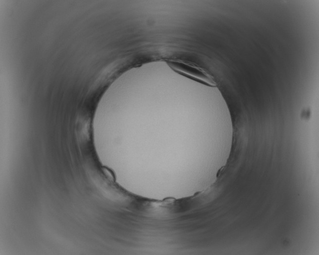 X0000113230188200910081414